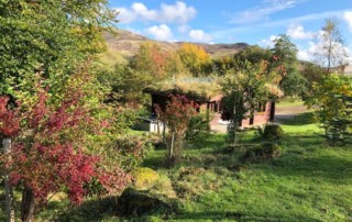 Autumn Log Cabins